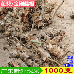 923人付款淘宝水果红菱青菱角种子红菱角老菱角种苗两角牛角菱角苗