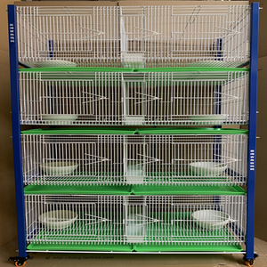 鸽子配对繁殖笼 【台湾宝岛信鸽】原装进口四层加粗带石膏巢盆8个