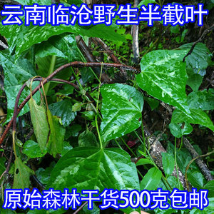 山里药材半截叶锅铲叶半截观音半节叶金边莲藤500克默认发藤包邮
