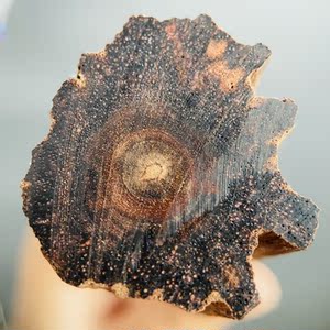 精品 缅甸小叶降真香原木老料藤心黄油 高密 可做佛珠手串香木