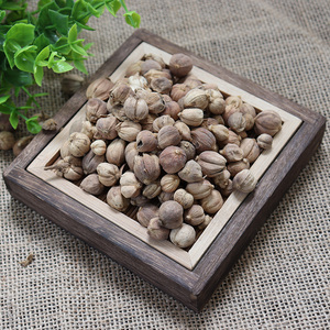 北京同仁堂品质中药材店铺大全 白豆蔻50g克白蔻仁干货香料卤肉c