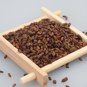 决明子500g无硫中药材店铺草决明羊明羊角马蹄决明还瞳子中医馆