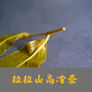 品福祥茶业淘宝金壶春茶叶清香乌龙茶台湾茶叶250克每罐包邮1人付款