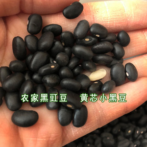 500g农家肾型小黑豇豆乌豆黑江豆黑芸豆黑眉豆黑饭豆菜豆3斤包邮