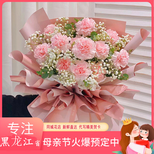 手捧鲜花速递同城花店哈尔滨大庆齐齐哈尔佳木斯生日花康乃馨花束