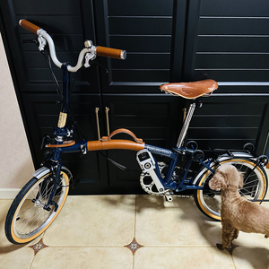 手提折叠自行车