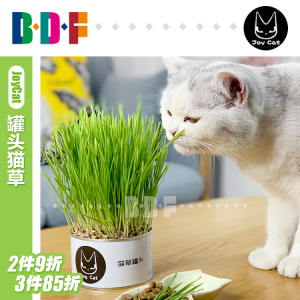 贝多芬宠物JoyCat无土栽培罐头猫草化毛去毛球猫零食小麦猫草种子
