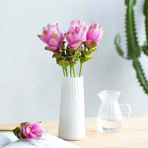 姜荷花鲜切花水养鲜花客厅家居室内插花昆明鲜花基地直发花期长