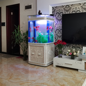 新款鱼缸客厅家用大型底过滤水族箱热弯方形生态免换水玻璃龙鱼缸