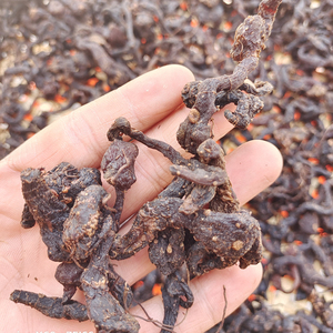 太行深山野生鸡头参鸡头黄精九蒸九晒干黄精500g