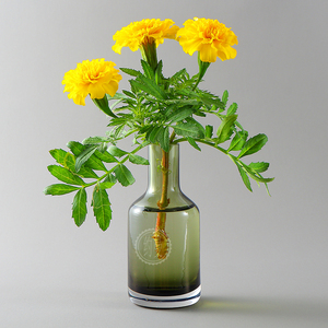 ikea 乔比花瓶绿色11厘米玻璃人工吹制 约曼上海宜家家居代购国内