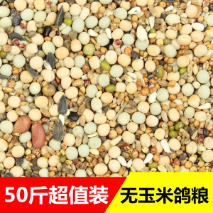 无蚊子幼鸽粮50斤信鸽房间鸽子观赏赛鸽苍蝇无玉米散装包邮粮食里放什么玉米饲料怕图片