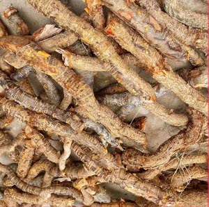 野生南蛇藤根中药材过山龙新鲜过山枫大南蛇穿山龙纯根250g包邮