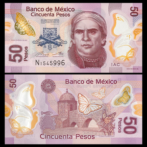墨西哥塑料钞图片
