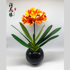 淘花缘丝网花材料丝袜花材料包邮君子兰材料套装-君子兰材料包