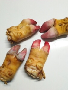 顾萌萌94淘宝新鲜黄牛蹄尖牛爪子牛掌子牛肉新鲜速冻牛脚生牛短蹄子