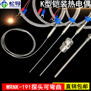 K型铠装热电偶WRNK-191高温探针电热偶Pt100/E/J/T温度传感器探头