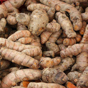 姜黄新鲜现挖野生小姜黄姜月子姜产后调节中药材红姜老姜广东500g