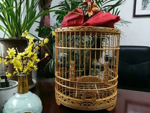 雕刻画眉鸟笼