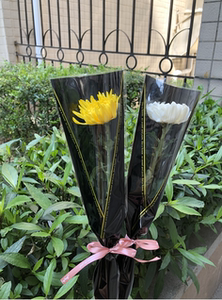 白菊花鲜花广州