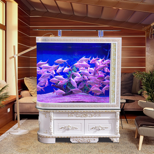 金龙鱼缸水族箱