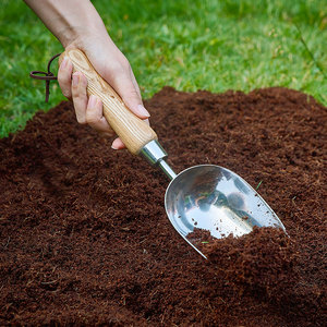 花小白园艺肥料铲家用铲土铲肥种菜种花神器木柄不锈钢非bb品牌