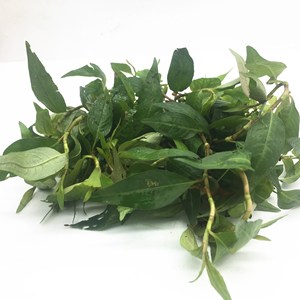 包邮 泰国品种新鲜叻沙叶香柳叶 拉沙叶 辣蓼喇沙拉克斯叶500克