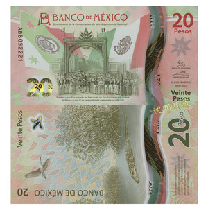墨西哥塑料钞图片