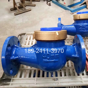 山东力盾lxly-80e-100e-150e-200e水平螺翼液封法兰水表dn80 100