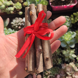 干桃落仿料花梅摆腊厅假花花真内支日单树枝客本d件花塑地0人付款242