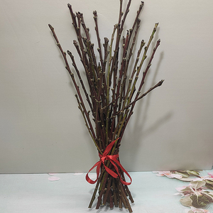 干桃花枝辟邪转运镇宅阳台装饰鲜桃花树枝卧室客厅桃树手工干树枝