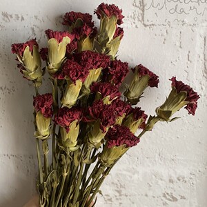 复古红康乃馨干花客厅花卉装饰diy花材花束素材一束10枝花艺礼物