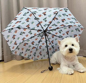 靓靓帅帅宠物周边小型狗用遛狗雨伞自由随行狗狗三折直柄雨伞