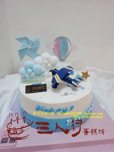 莆田三人行---战斗机生日蛋糕(进口动物淡奶油)