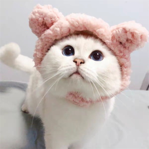 猫猫美颜头套小熊毛绒头套猫咪小狗帽子萌猫服装配件拍照头饰可爱