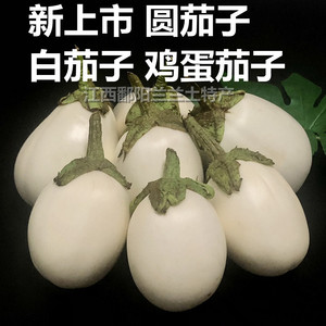 江西鄱阳特产自种新鲜白茄子圆茄子鸡蛋茄子现摘   1件1斤2件包邮
