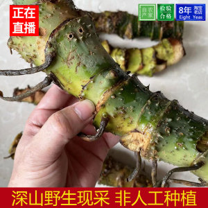 现挖新鲜天河芋水刺芋1斤藕勒簕茨菇水勒芋清热毒湿广东汤料滋润