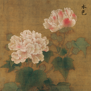 sh21宋画小品李迪红芙蓉花工笔画白描勾线稿临摹宣纸实物打印底稿