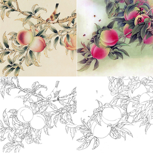 vx5工笔画寿桃白描底稿桃子国画花鸟四尺斗方实物练习手绘勾线稿