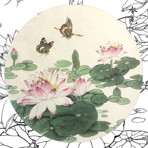 高清圆形工笔画荷花白描底稿线描勾线蝴蝶花鸟临摹过稿实物白描稿