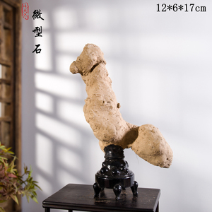 求珍悟石青州玲珑石菖蒲草新品灵璧石天然原石小型石头国画石l039