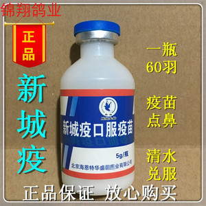 鸽子新城疫育苗