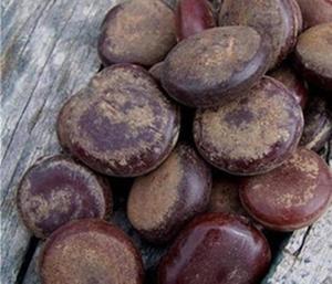 【阴阳子野生500克】阴阳子野生500克品牌,价格 - 阿里巴巴