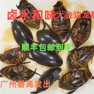 大金边龙虱和味水田鳖水龟开袋即食6两装219满2斤省内包邮顺丰