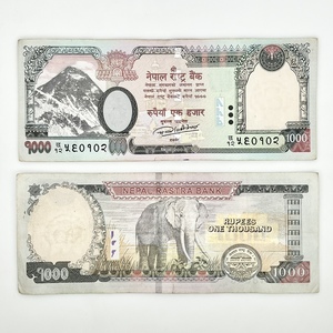 实体店收藏 尼泊尔卢比 尼泊尔钱币 1000元 纸钞 纪念钞