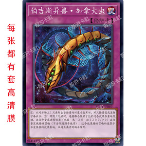 智游卡社游戏王简体中文卡牌通常陷阱卡伯吉斯异兽·加拿大虫单卡