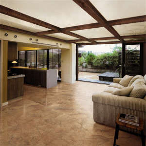 蒙娜丽莎瓷砖仿古砖6fu0185dpm