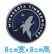明尼苏达森林狼队