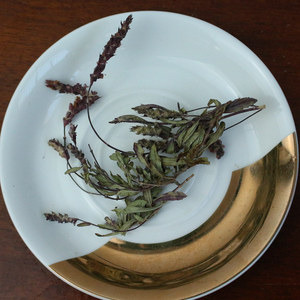 云南野生小山茶凉茶凤尾茶云松茶东紫苏烧烤茶花茶去根自然晾晒