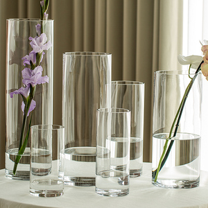花瓶玻璃透明水养插花雪柳马醉木富贵竹鲜花客厅摆件直筒醒花筒大